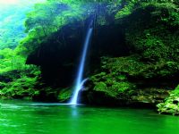 �ٲ�Ⱥ--�Ͷ���Ư��