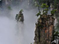 ����ɽ�����^���_(t��i)