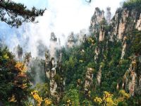 ��ҽ��L(f��ng)��