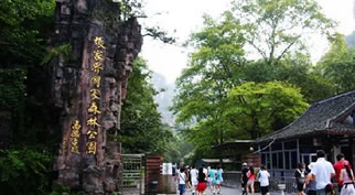 張家界國(guó)家森林公園